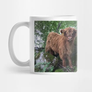 Scottish Highland Cattle Calf 1508 Mug